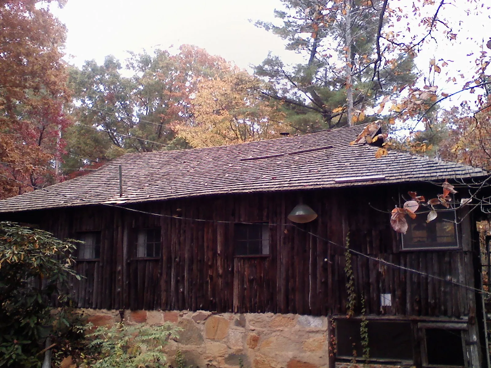 Weathered wood shake roof on a rustic board sided cabin in Nancy