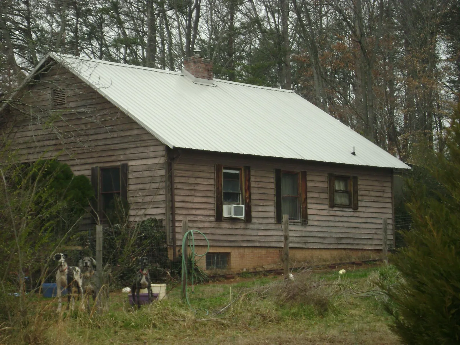 White metal roof on an old wood sided farmhouse, from a Asphalt Shingle Roof Repair job in Nancy